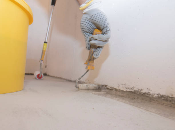 Best Fumigation Services  in Lorton, VA